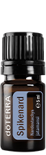Spikenard