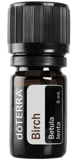 Birch 5 mL-Essential Oils-Product Image-Transparent-US Market-PNG-v1 (2)