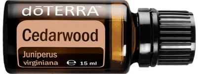 cedarwood15ml-horizontal-600x213-eu