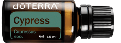 cypress15ml-horizontal-600x213-eu