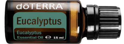 eucalyptus15ml-horizontal-600x213-eu