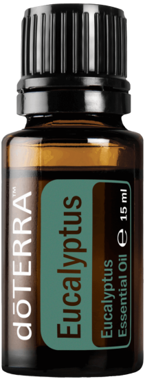 eucalyptus15ml-large-500x1350-eu