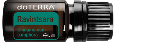 ravinstara-horizontal-600x213-eu