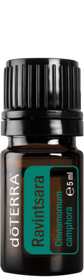 ravinstara-large-500x1350-eu