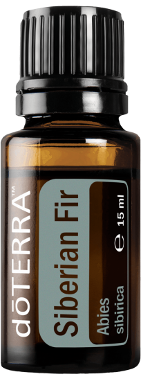 siberianfir15ml-large-500x1350-eu-min