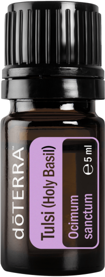 tulsi-large-514x1350-eu-min