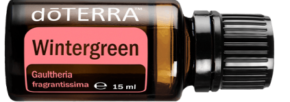 wintergreen15ml-horizontal-600x213-eu-min